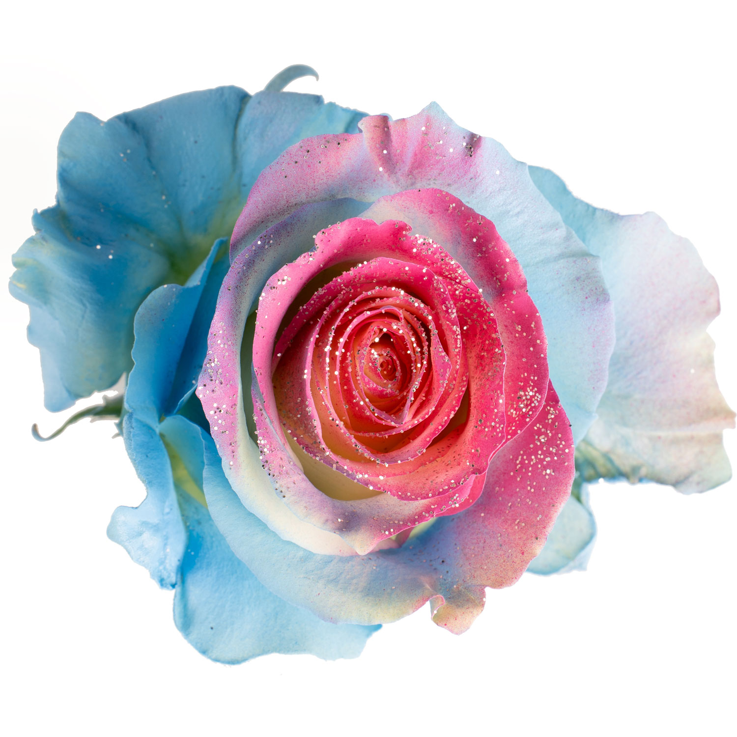 Color azul rosa cenital